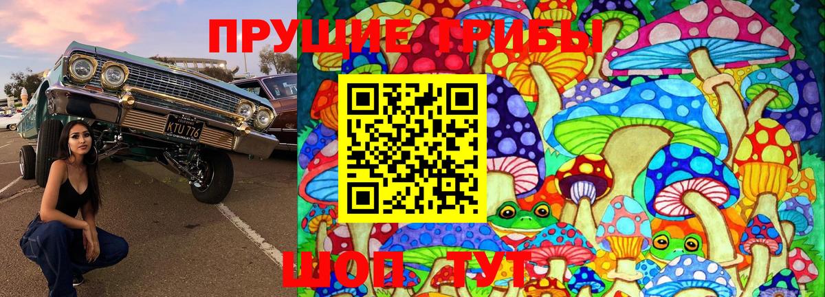 Псилоцибиновые грибы мухоморы Елизово