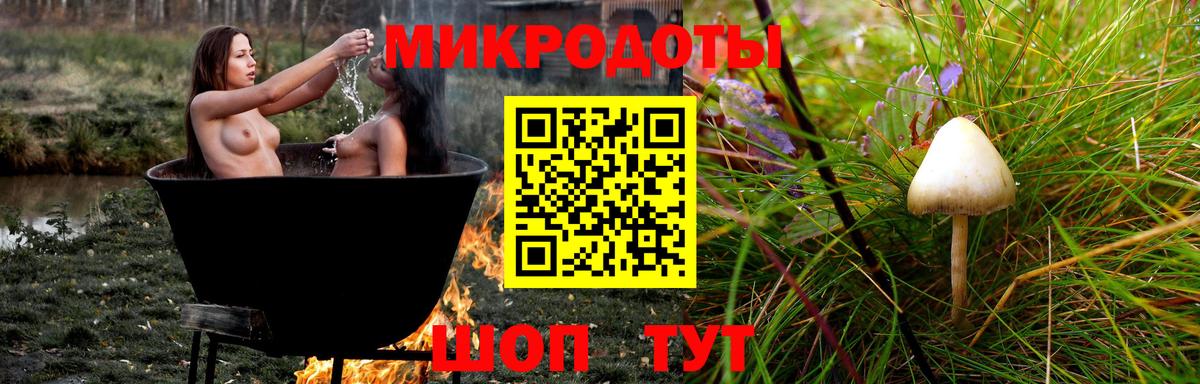 Елизово  Галлюциногенные грибы GOLDEN TEACHER  Вход с VPN 
